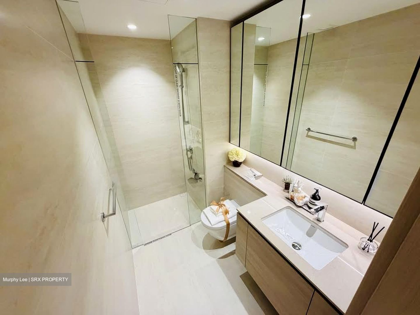 Narra Residences (D23), Apartment #576610091
